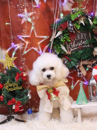 20231222ゆわちゃん